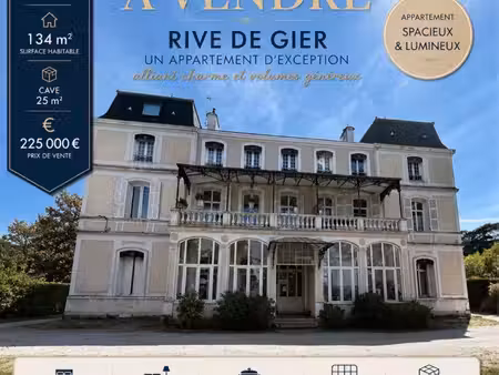 appartement 134m2 rive de gier