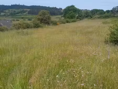 terrain à bâtir