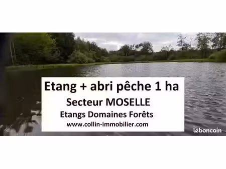 terrain 10000 m² sarrebourg