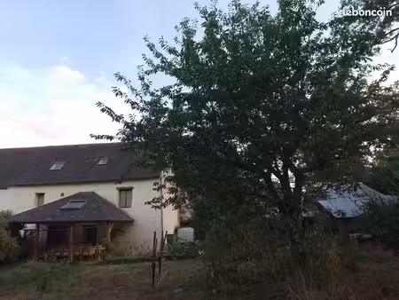 maison avec jardin