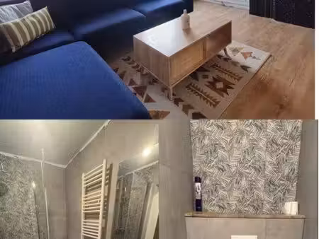 appartement t2 lumineux non meublé