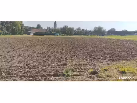 terrain constructible
