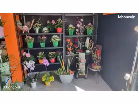 vente fonds de commerce fleuriste - secteur évian / chablais