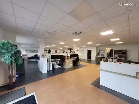 local 448 m² montaigu vendee