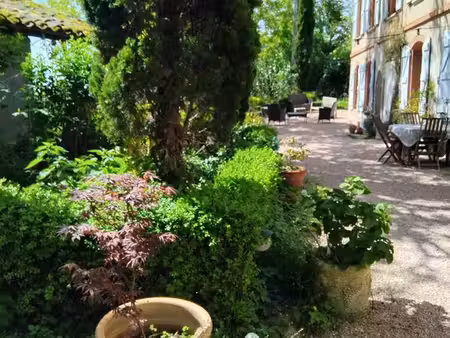 a vendre authentique vigneronne entre rabastens et st sulpice la pointe