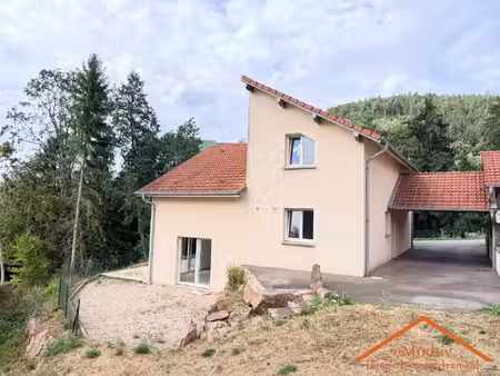 à vendre - maison 140 m2 eloyes