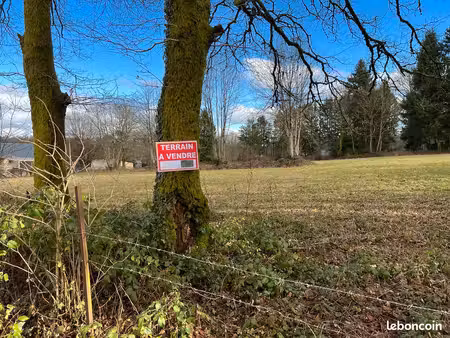 grand terrain de près de 1 5 ha dont env. 5 600 m² constructibles - sévigny-la-forêt