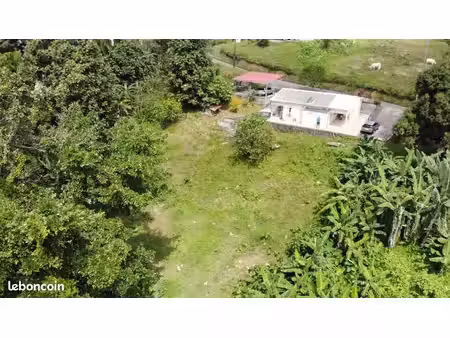 maison t4 individuelle dans cadre paysager