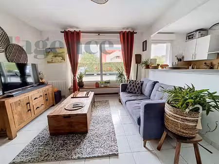 appartement - mont saint aignan - refait à neuf