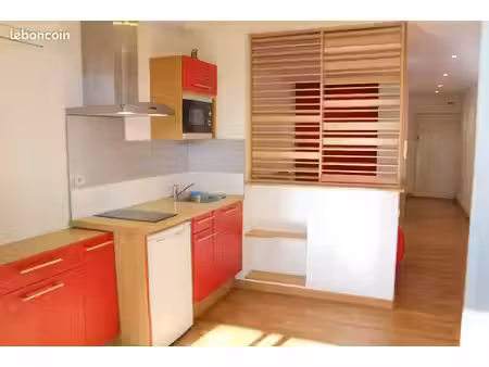 très grand studio meublé de 30 m² en deux parties + grande terrasse de 8 m² + parking 665 
