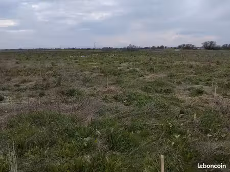 terrain
