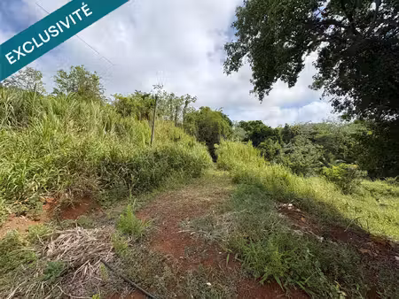 le francois : terrain de 1 081 m2  environnement verdoyant et paisible.