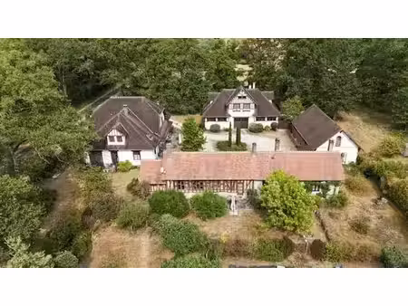 maison de 21 pièces de luxe en vente ligny-le-ribault  centre