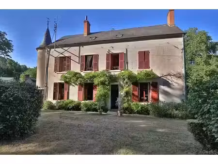 maison de 17 pièces de luxe en vente à mehun-sur-yèvre  france