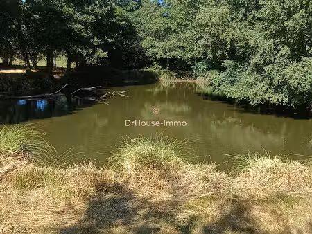 terrain etang