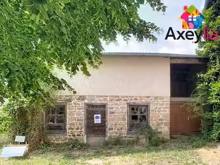 a vendre- panissieres- grange en pierres avec garage et jardin