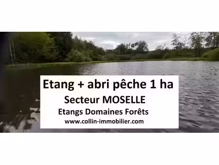 achat terrain 10 000m² sarrebourg 57400
