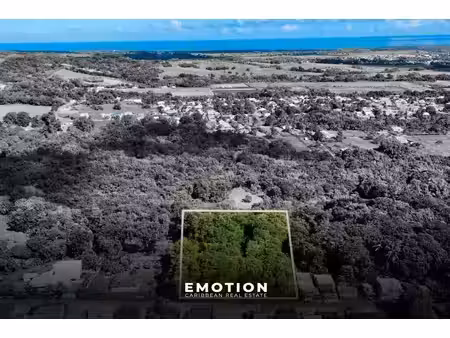 achat terrain 5 753m² ste rose 97115