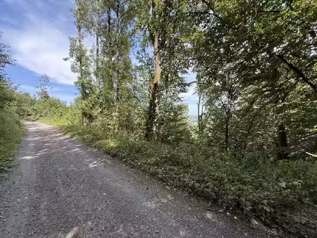 terrain à vendre à roisse herbet 7 durbuy (vbe57789)