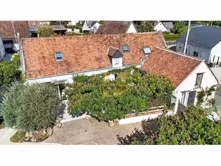 les albizias  longère 144m² sur civray