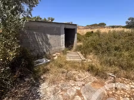 terrain à vendre - 4094 m2 - frontignan - 34 - languedoc-roussillon