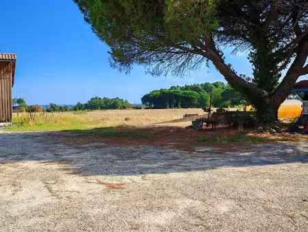 vente terrain 6200 m² mazères (33210)