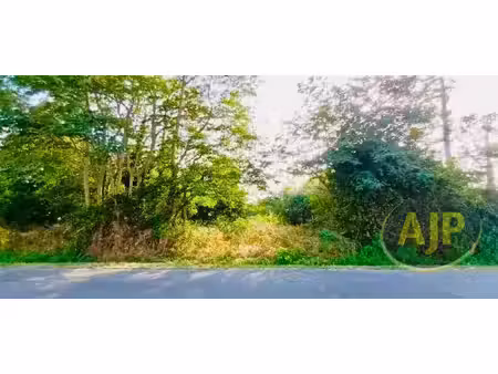 vente terrain 4110 m² talais (33590)