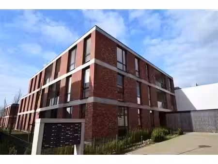 appartement te huur in zoersel met 1 slaapkamer