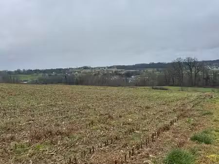 achat terrain 24 000m²