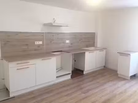 location appartement 2 pièces 45 m² à puisserguier (34620)
