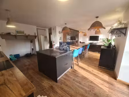 gîte 5 chambres avec locaux commerciaux à estaing