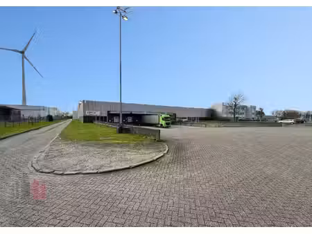 commercieel te huur in dendermonde