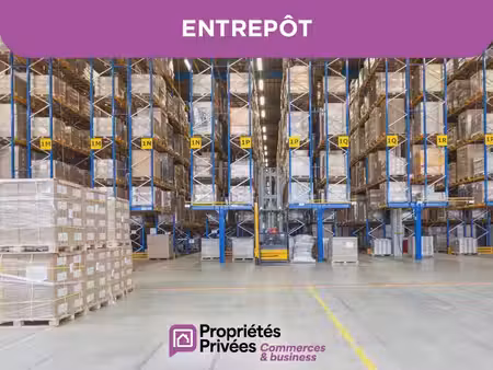 vente locaux professionnels 195 m² à cléguer (56620)  249 600 €