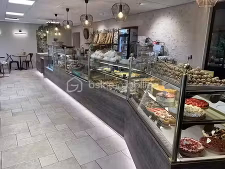 vente locaux professionnels à blois (41000)  415 000 €