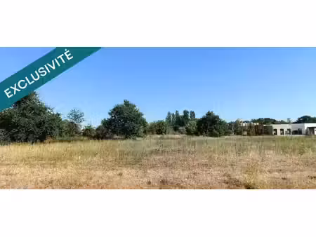 vente terrain 3930 m² savigny-en-véron (37420)
