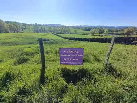 vente terrain 1216 m² charlieu (42190)