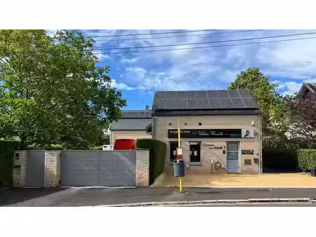 villa avec appartement indépendant et espace professionnel.