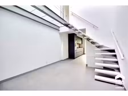 maison moderne - jardin