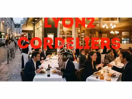 propriété lyon 2ᵉ (69)