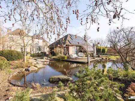 maison à vendre à wuustwezel € 1.095.000 (llbg1) - gooreind wuustwezel | zimmo