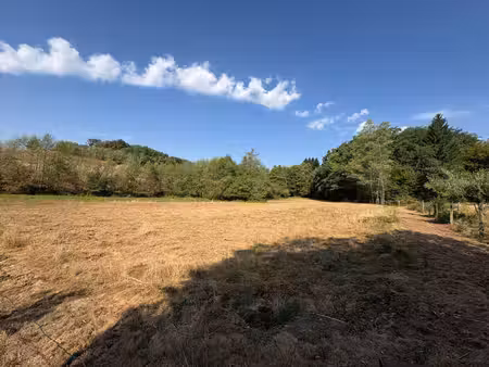 en exclusivité :magnifique terrain de 72 ares au cœur de la nature