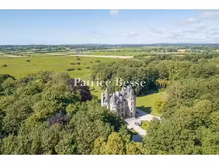 dans le cotentin  à 6 km de sainte-mère-eglise  dans un parc de 9 ha  un château du 19e...