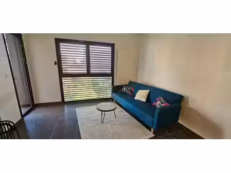 location appartement 2 pièces 42 m² à lyon 3 (69003)