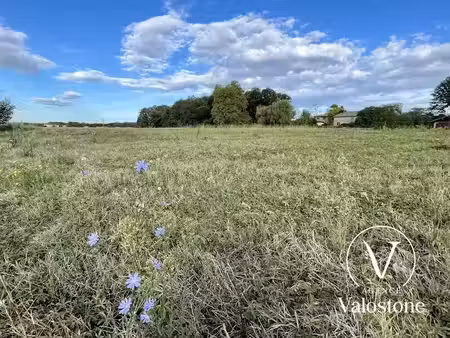 vente terrain 1291 m² à monsegur (40700)  24 200 €