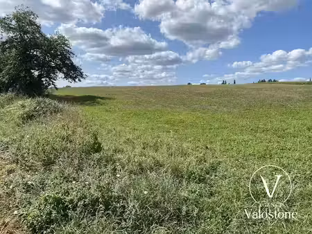 vente terrain 2924 m² à monsegur (40700)  35 800 €