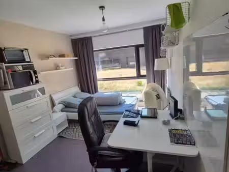appartement 1 pièce 17 m²