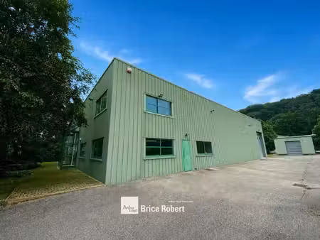 vente local d’activités fleurieu sur saone 69250 730m²