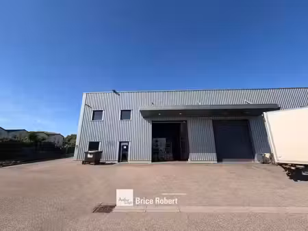 location local d’activités saint priest 69800 280m²