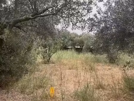 vente terrain 527 m² à valergues (34130)  199 000 €