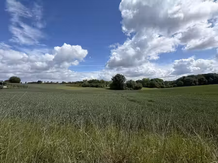 superbe terrain agricole de 5 hectares situé à bierges